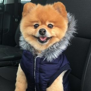 Meet your Posher, Maria